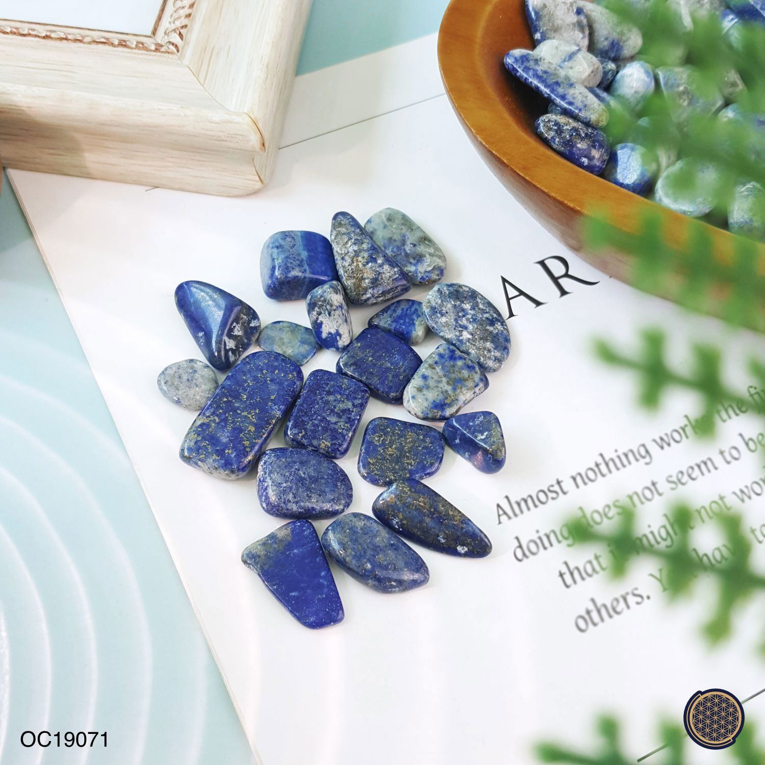 Lapis Lazuli Chip (Big) -250GM 