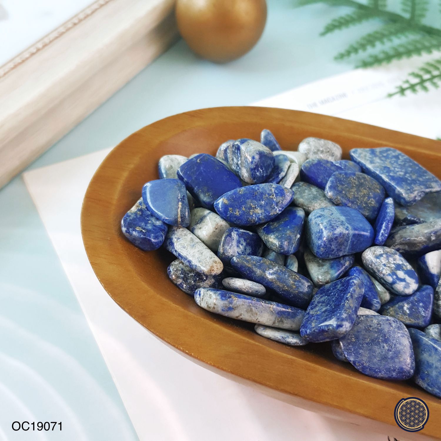 Lapis Lazuli Chip (Big) -250GM 