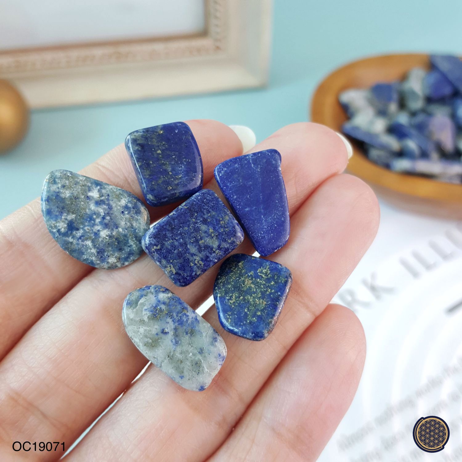 Lapis Lazuli Chip (Big) -250GM 