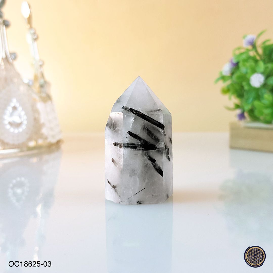 Black Rutilated Point