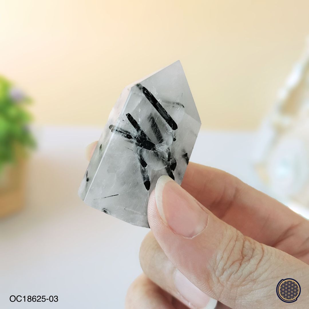 Black Rutilated Point