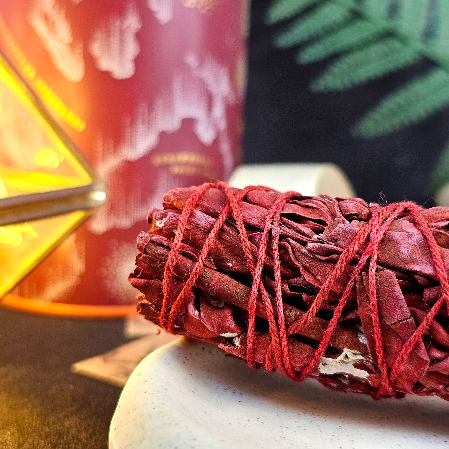 4寸 龙血鼠尾草