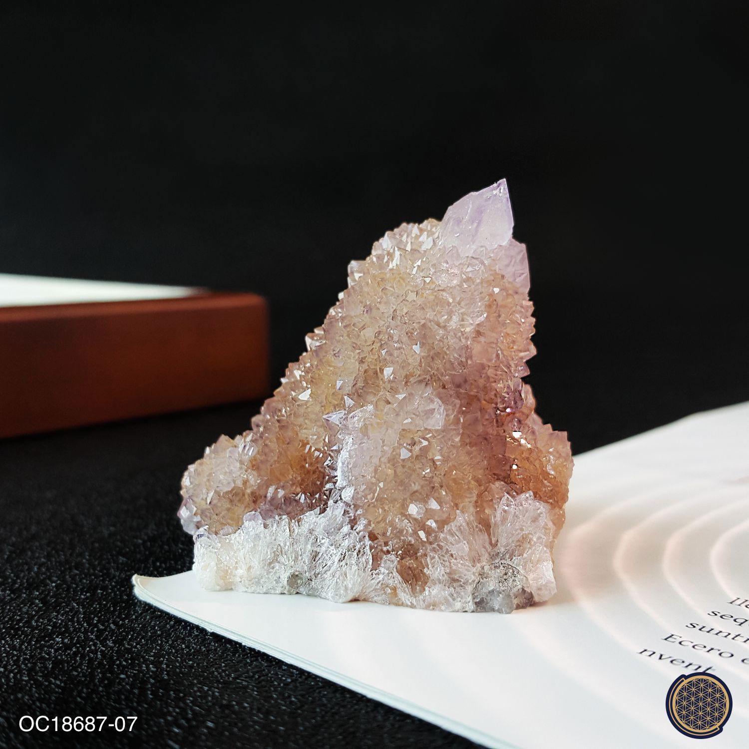 49mm x 41mm Cactus Amethyst Cluster (0.090-0.099KG) 